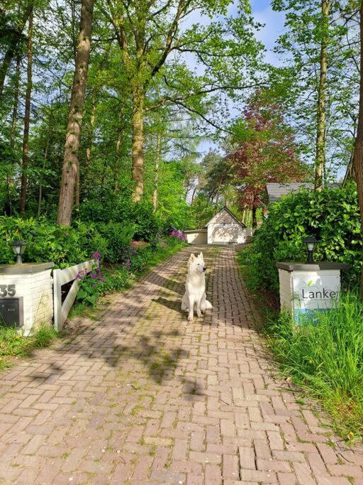Lanke Garden Studio Rijsbergen 외부 사진